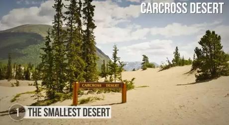 The Smallest Desert The Smallest Desert