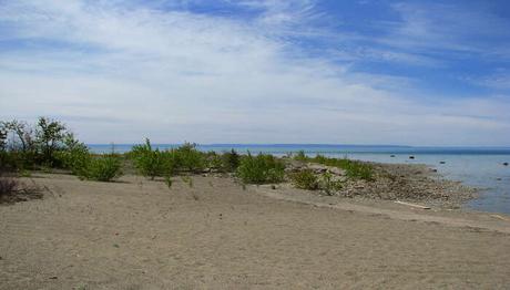 10 Best Beaches In Ontario That Will Amp Up Your Vacation