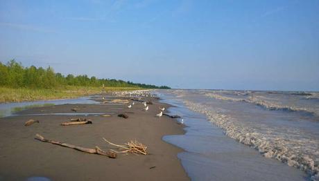 10 Best Beaches In Ontario That Will Amp Up Your Vacation