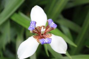 POEM: Everyday Magic