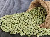 グリーンコーヒー豆抽出物が答えかもしれません