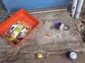 Mamata Banerjee Appeals Calm After Killed Post-Poll Violence