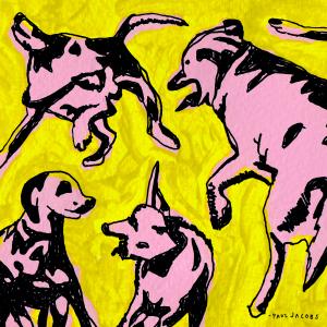 Paul Jacobs – ‘Pink Dogs on the Green Grass’ album review