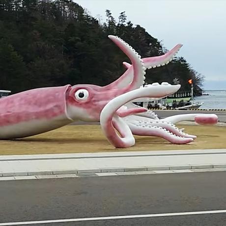 Town in Japan builds giant squid with Covid relief funds