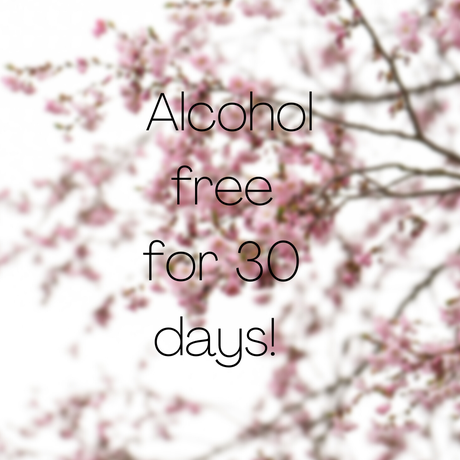 Alcohol Free Update