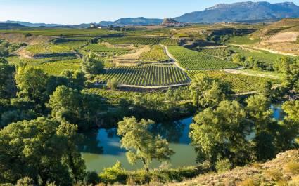 Things to do in Spain - La Rioja