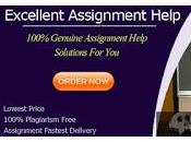 Offer Anthropology Assignment Writing Services That Help Ease Load Student's Shoulders