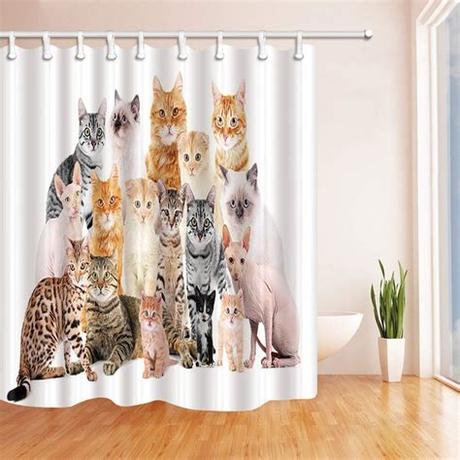 Shower curtains — wide assortment real reviews warrantyaffordable prices regular special offers and discounts up to 70%. Animals Funny Kitten Cat Pet Shower Curtains for Bathroom ...
