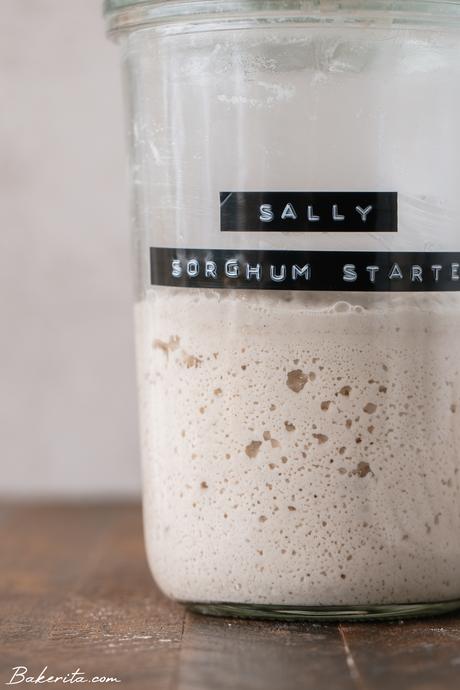 How to Make a Gluten-Free Sourdough Starter