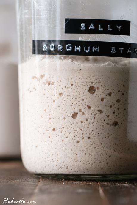 How to Make a Gluten-Free Sourdough Starter