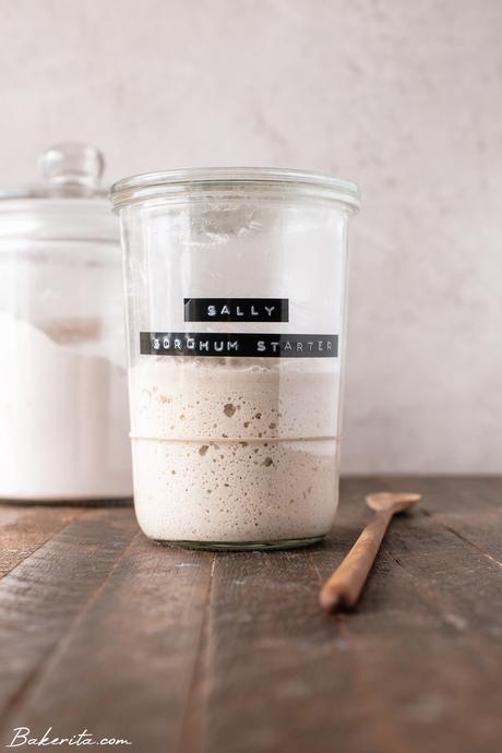 How to Make a Gluten-Free Sourdough Starter