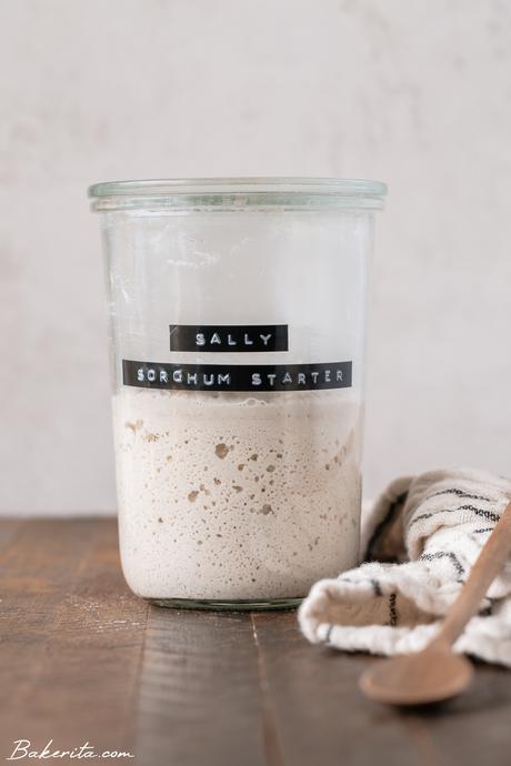 How to Make a Gluten-Free Sourdough Starter