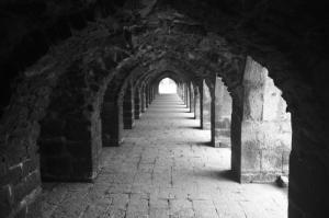POEM: Choices, Choices, or Not POEM: Choices, Choices, or Not
