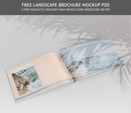 Free Landscape Brochure Mockup PSD