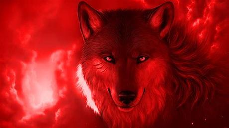 Looking for the best cool live wallpapers for pc? Wallpapers Computer Cool Wolf | 2020 Live Wallpaper HD