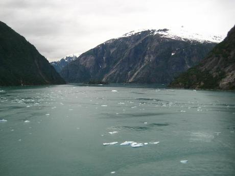 vacation recap: tracy arm fjord, alaska