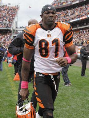 The Seattle Seahawks reached a one-year deal with Terrell Owens, 38, tonight. (AMY SANCETTA/The Associated Press file)