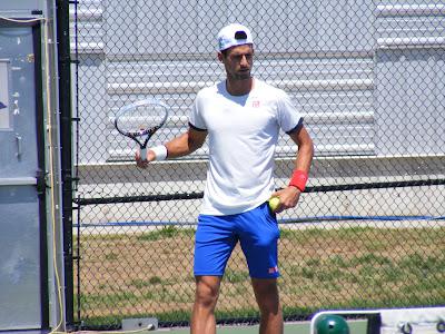 Rogers Cup Photos: Djokovic and Tipsarevic Practice