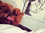 This What Wake Every Morning. (Taken with Instagram)