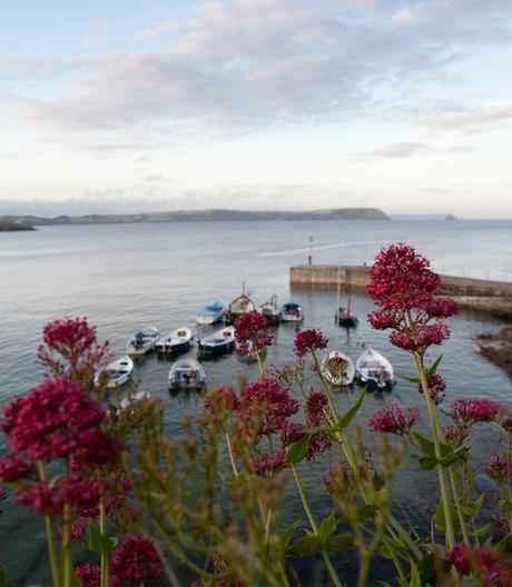 Cloudy Bay Foraging Weekend