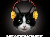 World's First Headphones Cats! (video)