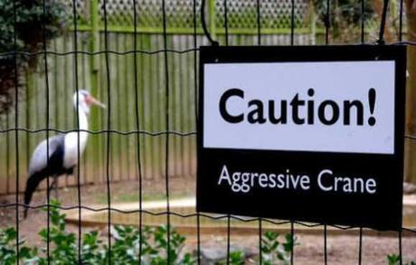 The Top 10 Funniest Zoo Signs Show Who The Real Animals Are