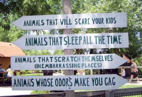 The Top 10 Funniest Zoo Signs Show Who The Real Animals Are