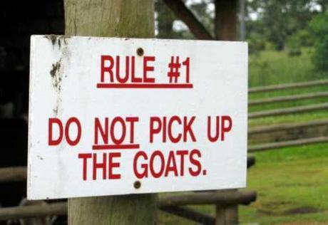 The Top 10 Funniest Zoo Signs Show Who The Real Animals Are