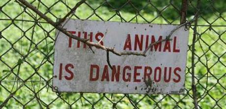 The Top 10 Funniest Zoo Signs Show Who The Real Animals Are