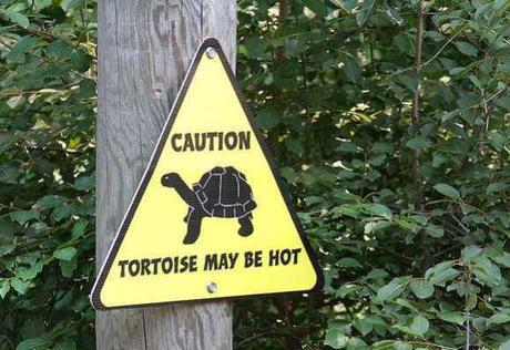 The Top 10 Funniest Zoo Signs Show Who The Real Animals Are