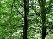 Best Picnic Spots London