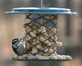 Magnet Mesh Peanut Feeder
