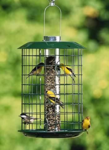 Duncraft Metal Selective feeder for small birds