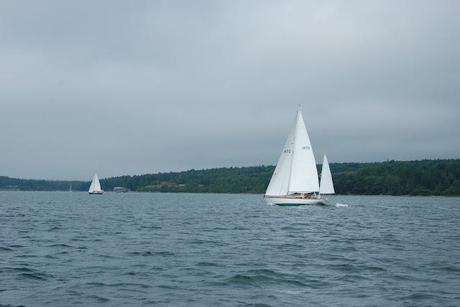 Wilder Pictures + Happenings: Eggemoggin Reach Regatta, Part 3 (or) Sailing Home