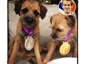 Andy Murray’s Dogs Wear Olympic Medals