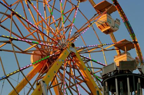 Photo Journal: County Fair