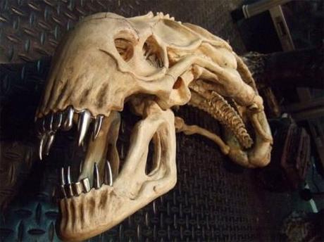 Xenomorph skull for your (my?) wall