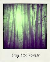 Forest #BlogFlash2012 Day 13