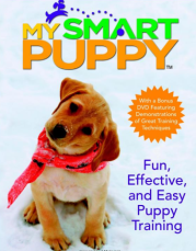 Smart Dog Trainer Continues To Learn Smartly