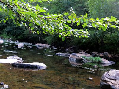 ENO RIVER STATE PARK, Durham, NC: A Place to Enjoy Nature
