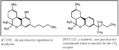 Synthetic Drugs: Collected Posts