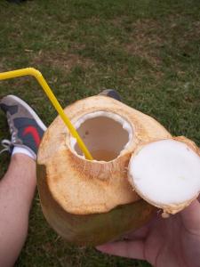 Open coconut with a straw at it.