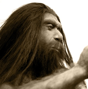 A neanderthal