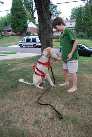 Evan Moss Gets His Seizure Dog