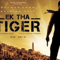 Ek Tha Tiger: Tiger, uski Tigress and Dishum Dishum