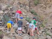 Kids’ Responses Violence