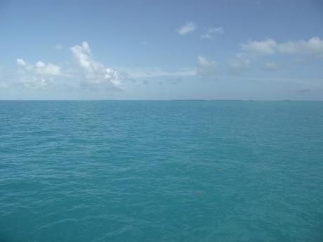 DSCF5792 650x487 Key West Birthday Trip: Snorkeling in the Atlantic Ocean