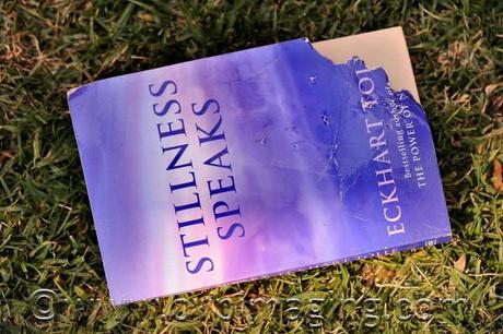 Eckhart Tolle's book, Stillness Speaks, after being chewed by a Golden Retriever puppy.