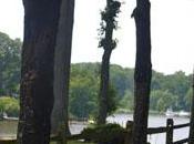 Conversations with Daughter: Special Place