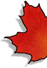Canadian Maple Leaf - half